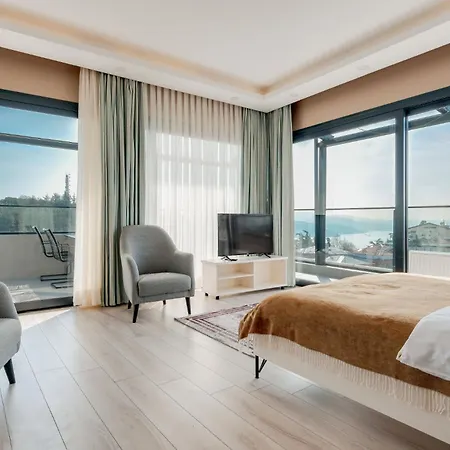 Studio W Bosphorus View Terrace 5 Min To Coast 公寓 *